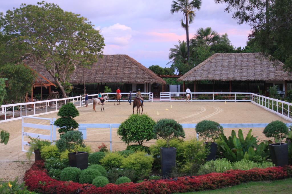 Donatela Resort And Sanctuary Panglao Εξωτερικό φωτογραφία